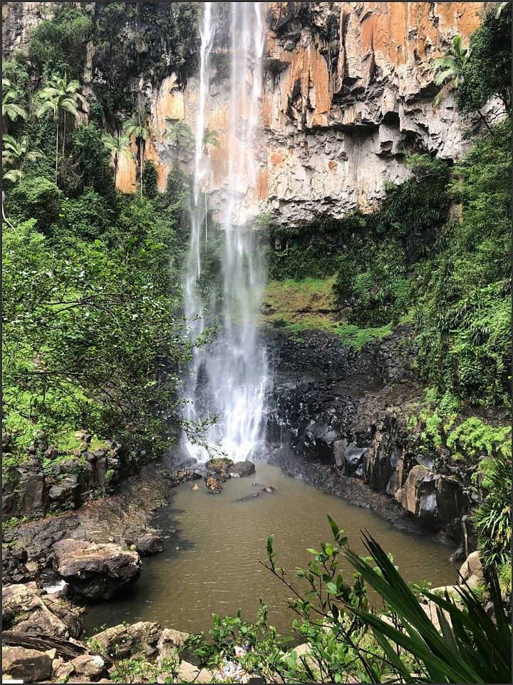 Purlingbrook Falls — Australia