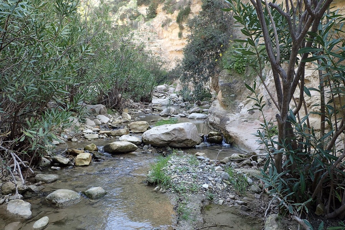 Avakas Gorge