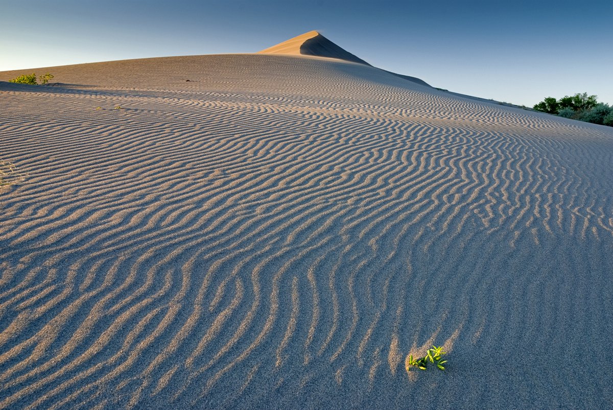 Bruneau Sand Dunes