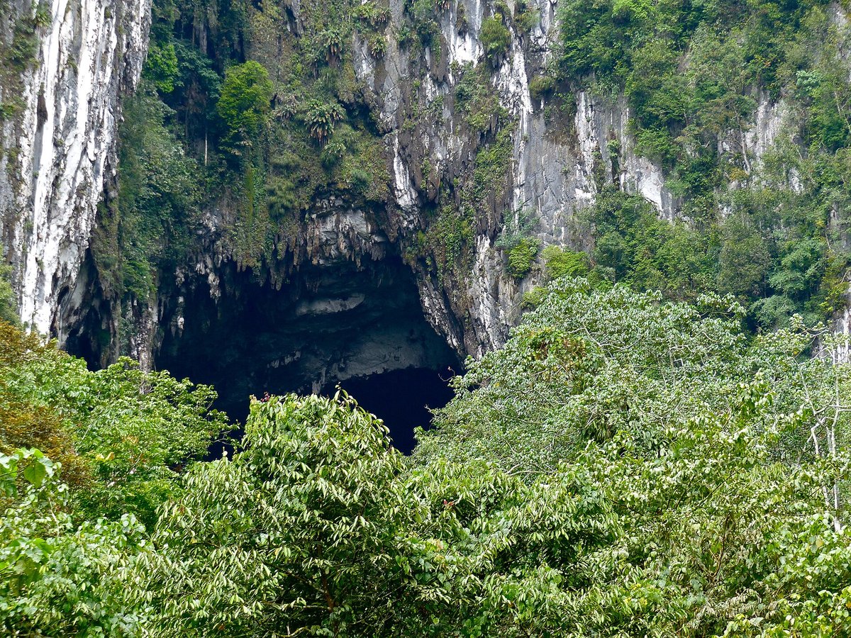 Deer Cave Bat Emergence — Mulu Sarawak Malaysia