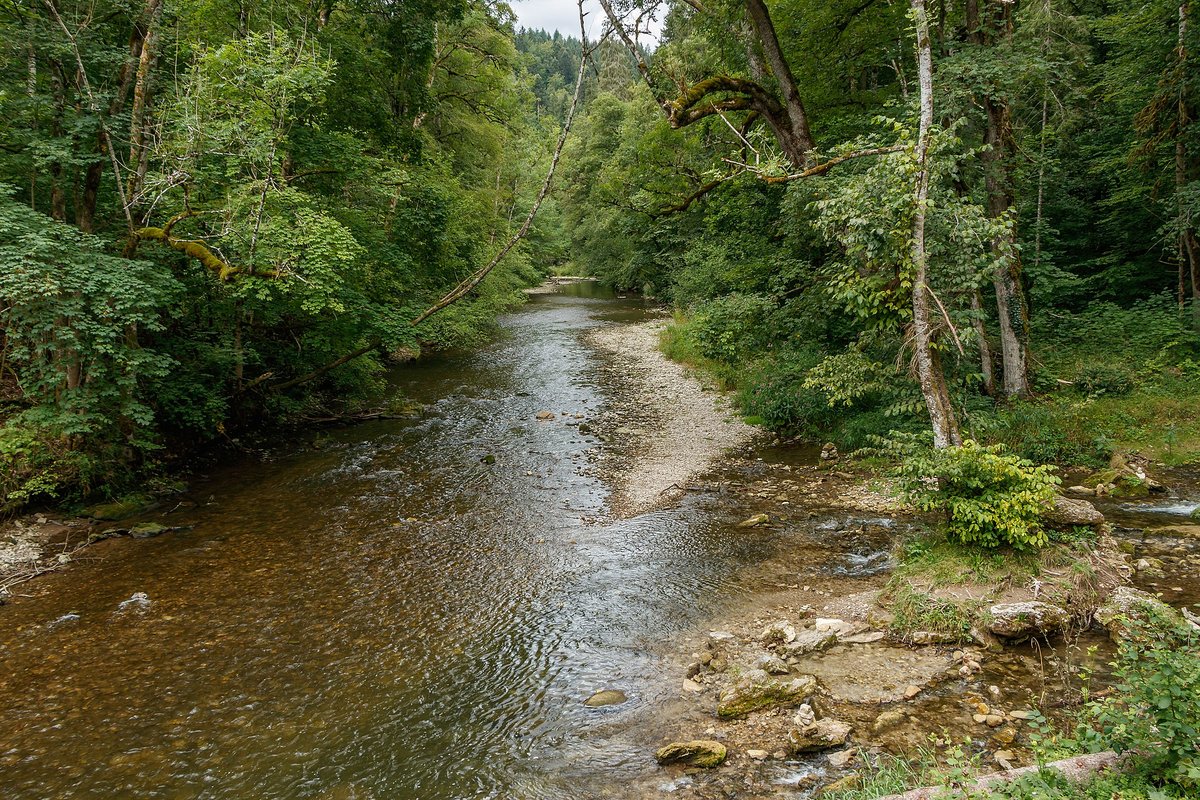 Wutachschlucht
