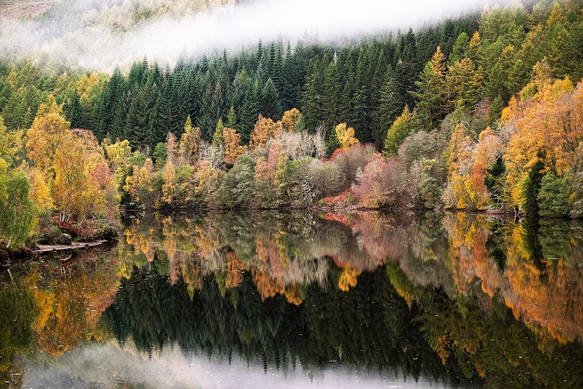 Autumn Lake Fog — Bavarian Alps