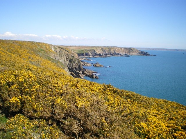 Chough Coastal Colony — Lizard Peninsula