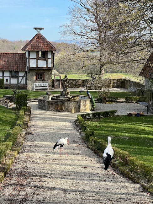Storchendorf Bergenhusen