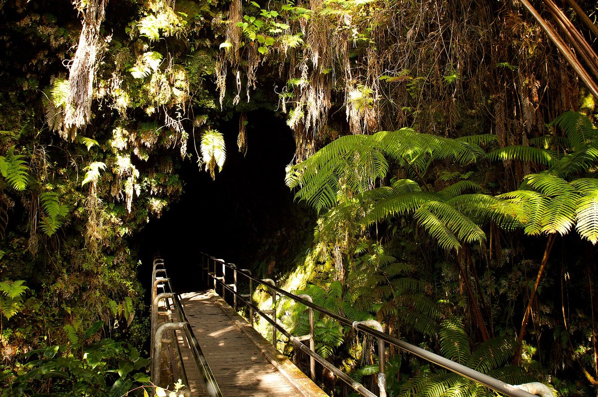 Thurston Lava Tube