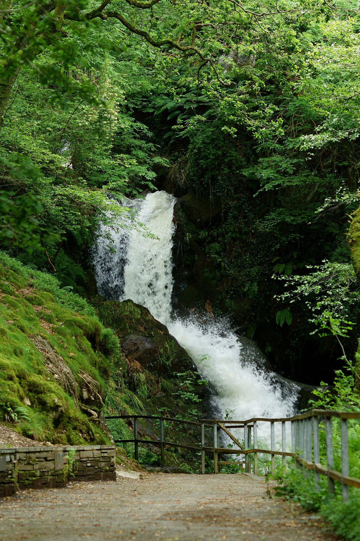 Dolgoch Falls — United Kingdom