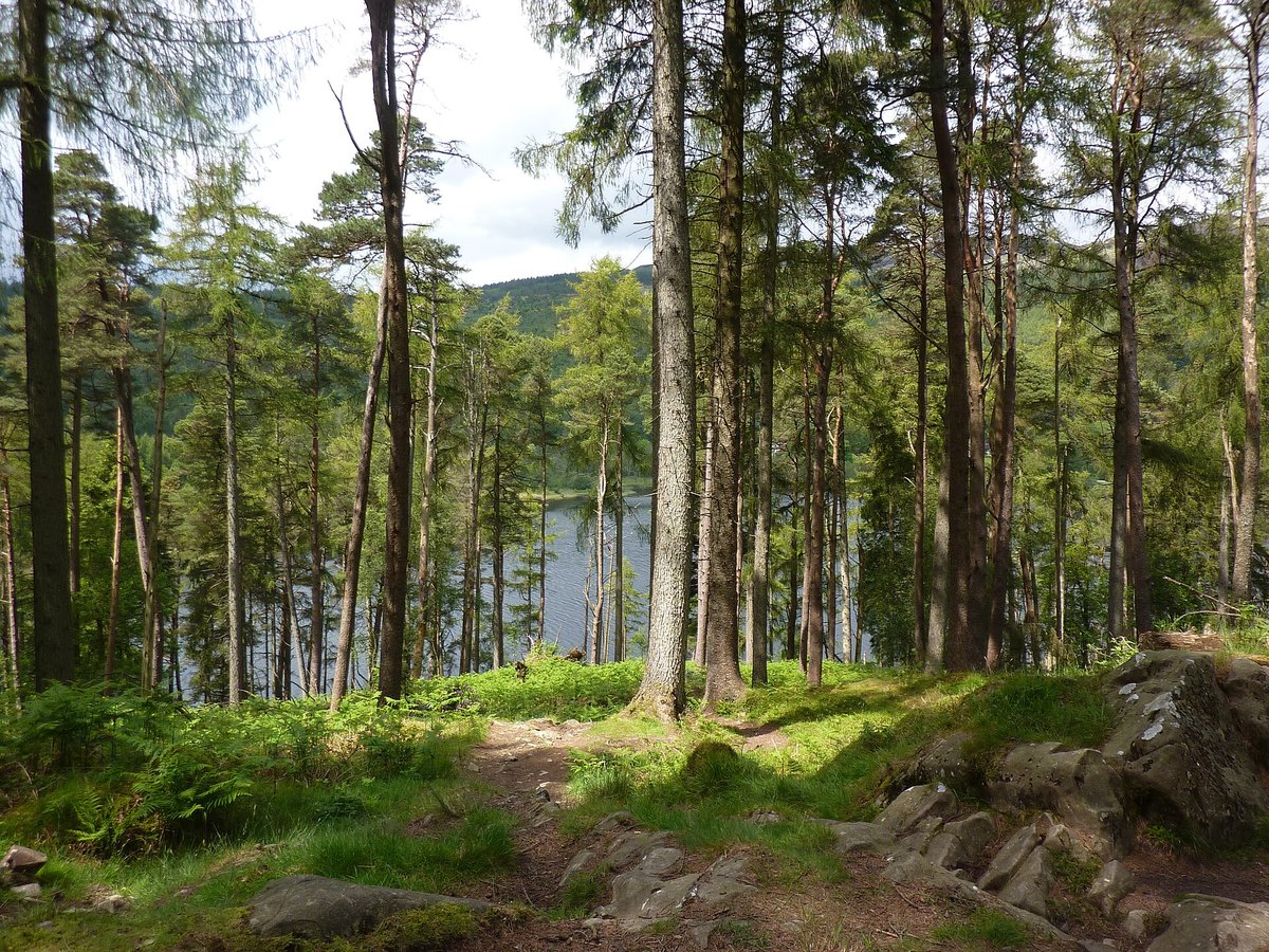 Galloway Forest Dark Sky Park — Scotland