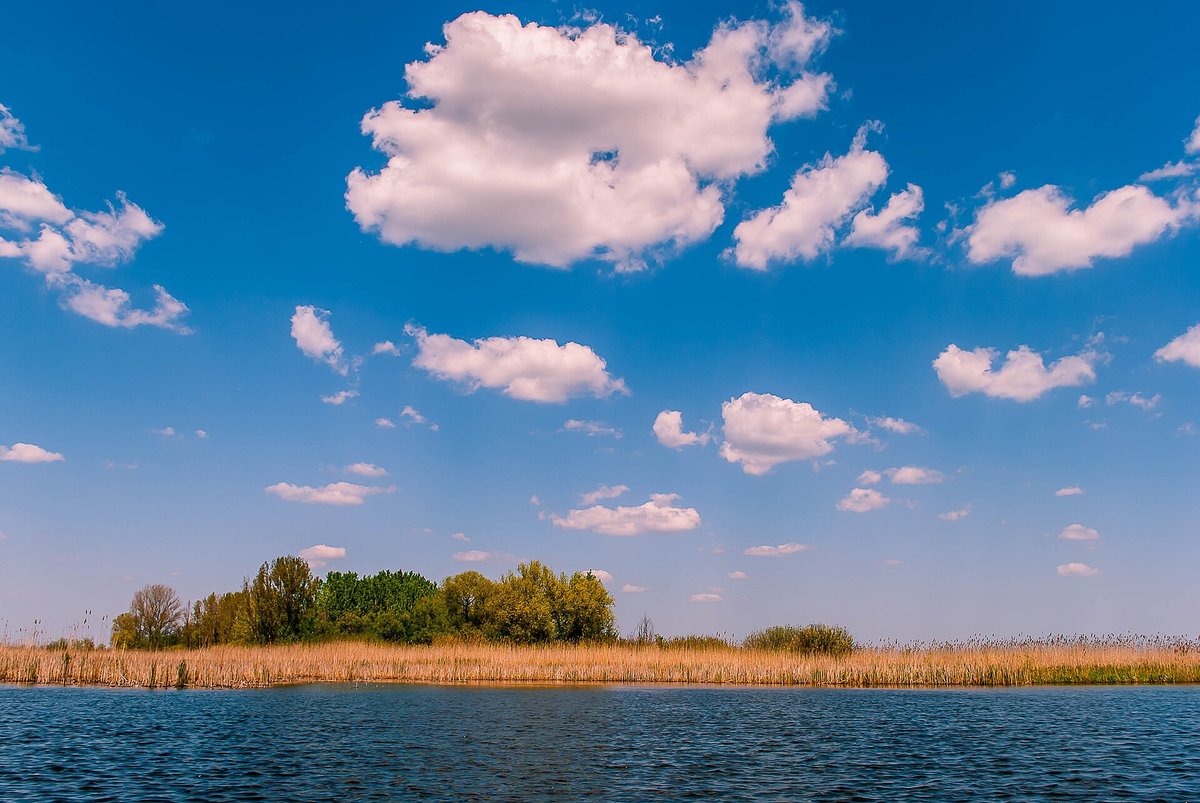 Carska Bara Wetland — Serbia