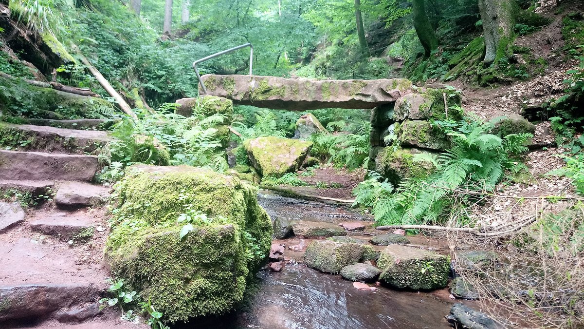 Wolfsschlucht (Zwingenberg)