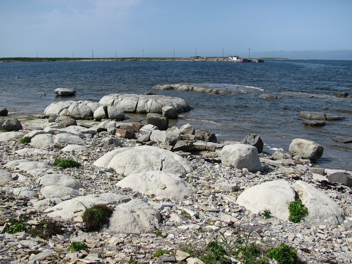 Thrombolites of Flowers Cove