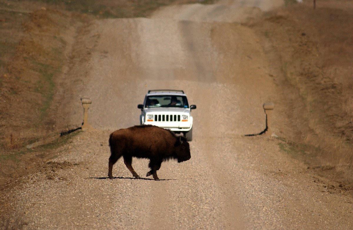 Tallgrass Prairie Preserve