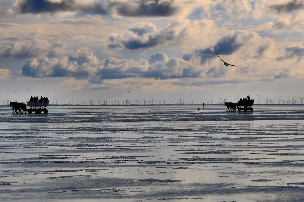 Wattwanderung Cuxhaven–Neuwerk