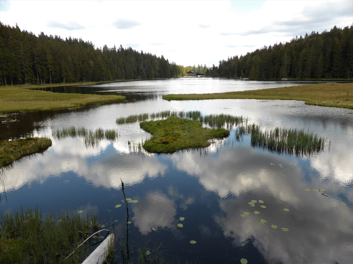 Großer Arbersee