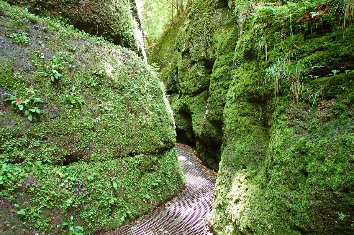 Drachenschlucht