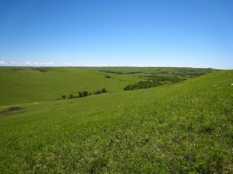 Konza Prairie