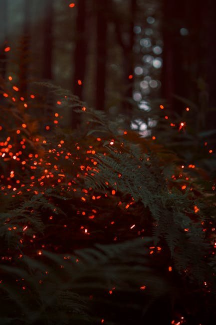 Congaree Synchronous Fireflies
