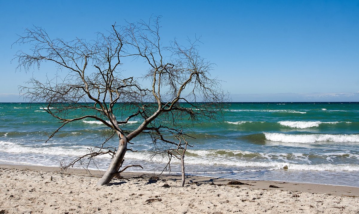Weststrand Darß