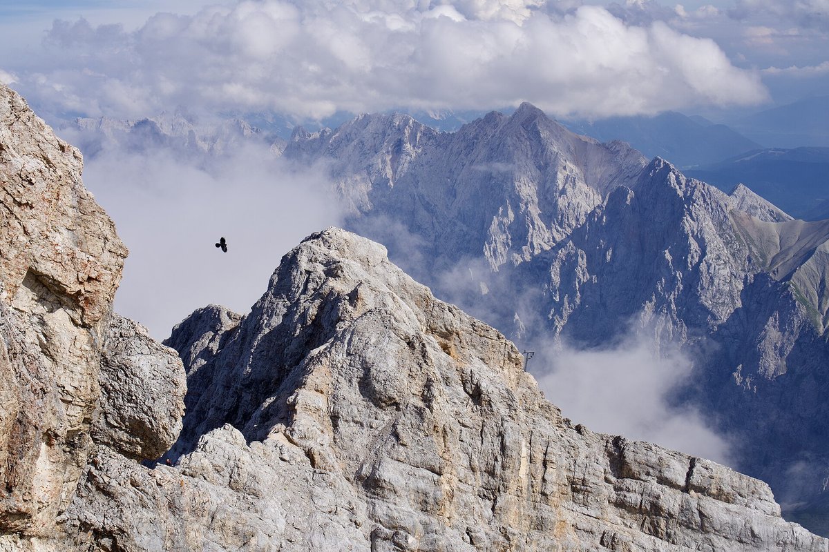 Wettersteingebirge — Chamois & Edelweiss