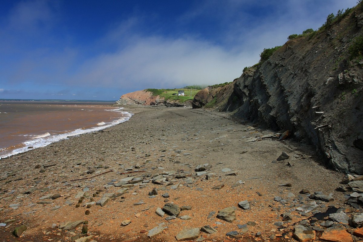 Joggins Fossil Cliffs