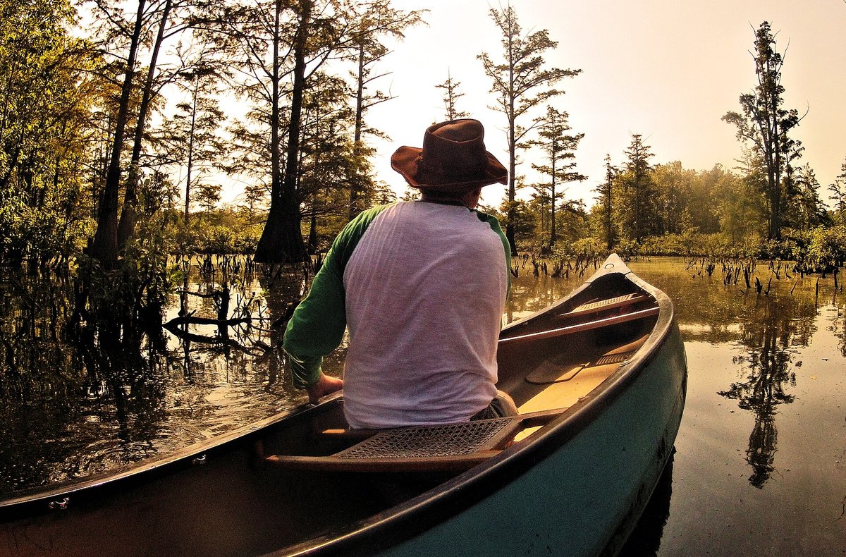 Cache River Cypress