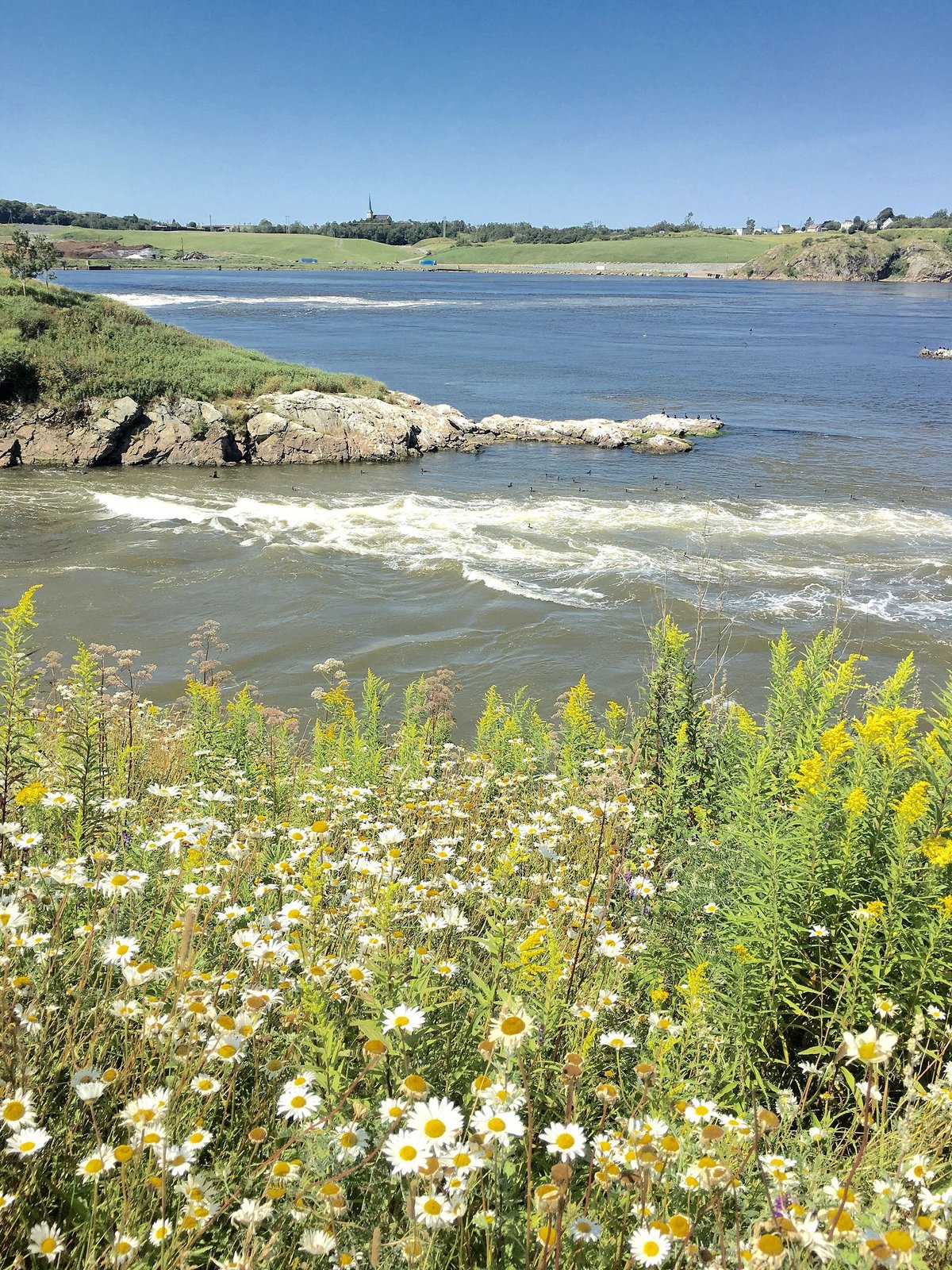 Reversing Falls Saint John