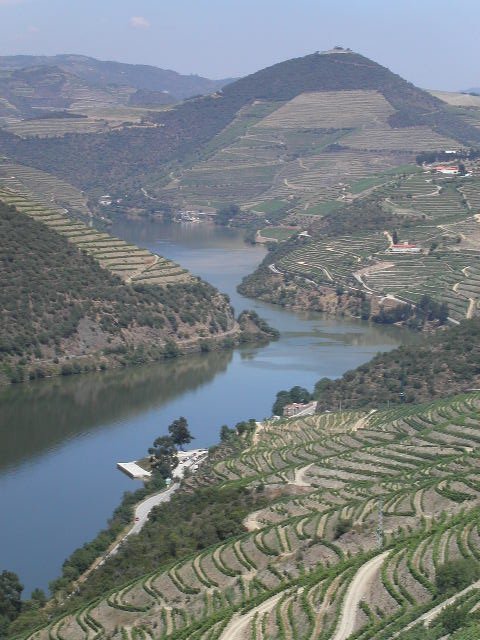 Douro Valley Vintage — Porto Portugal