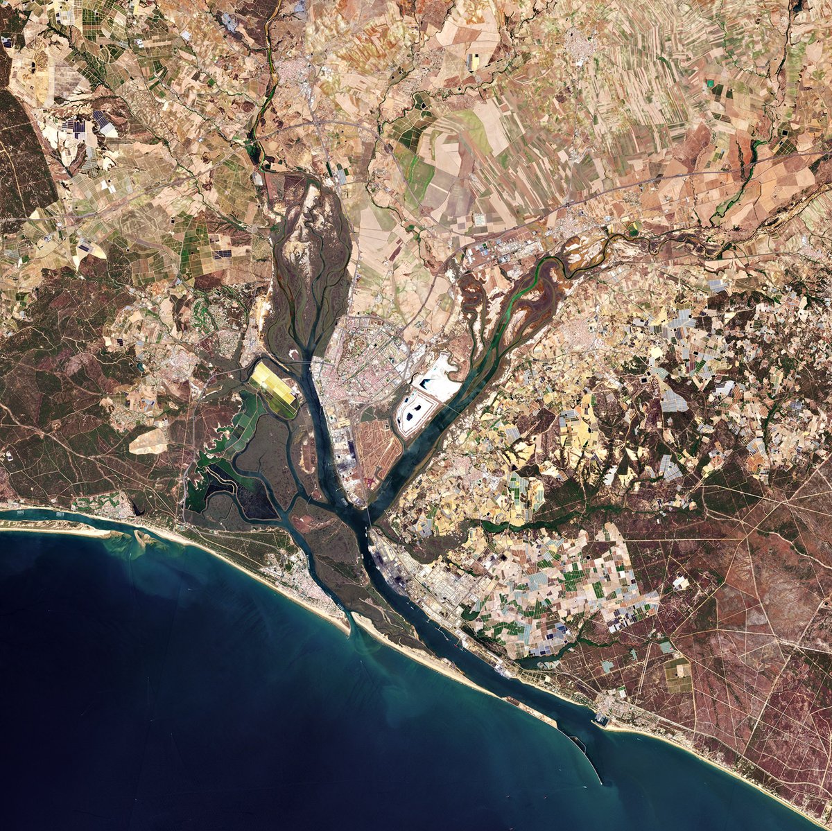 Guadalquivir Marshes Wetland — Spain
