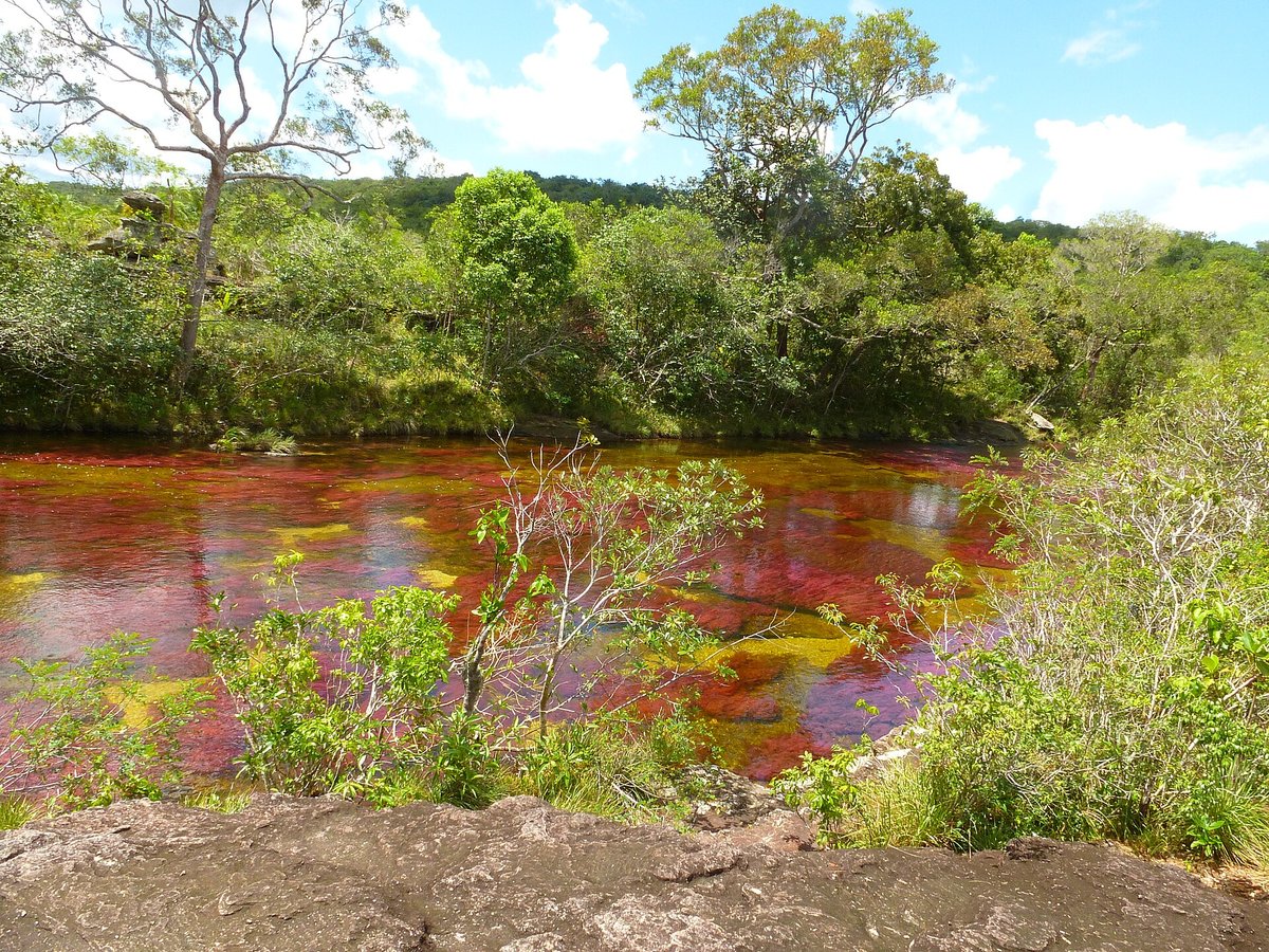 Caño Cristales Liquid Rainbow — Colombia