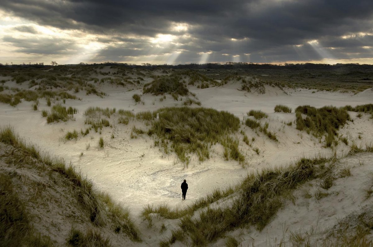 Westhoek Dunes