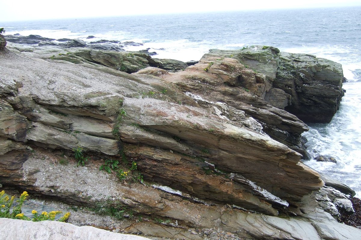 Beavertail Point