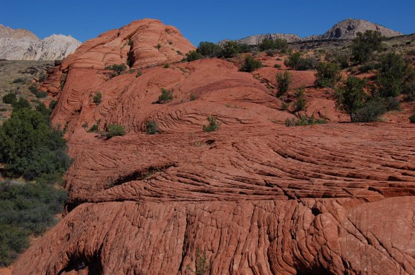 Snow Canyon Utah