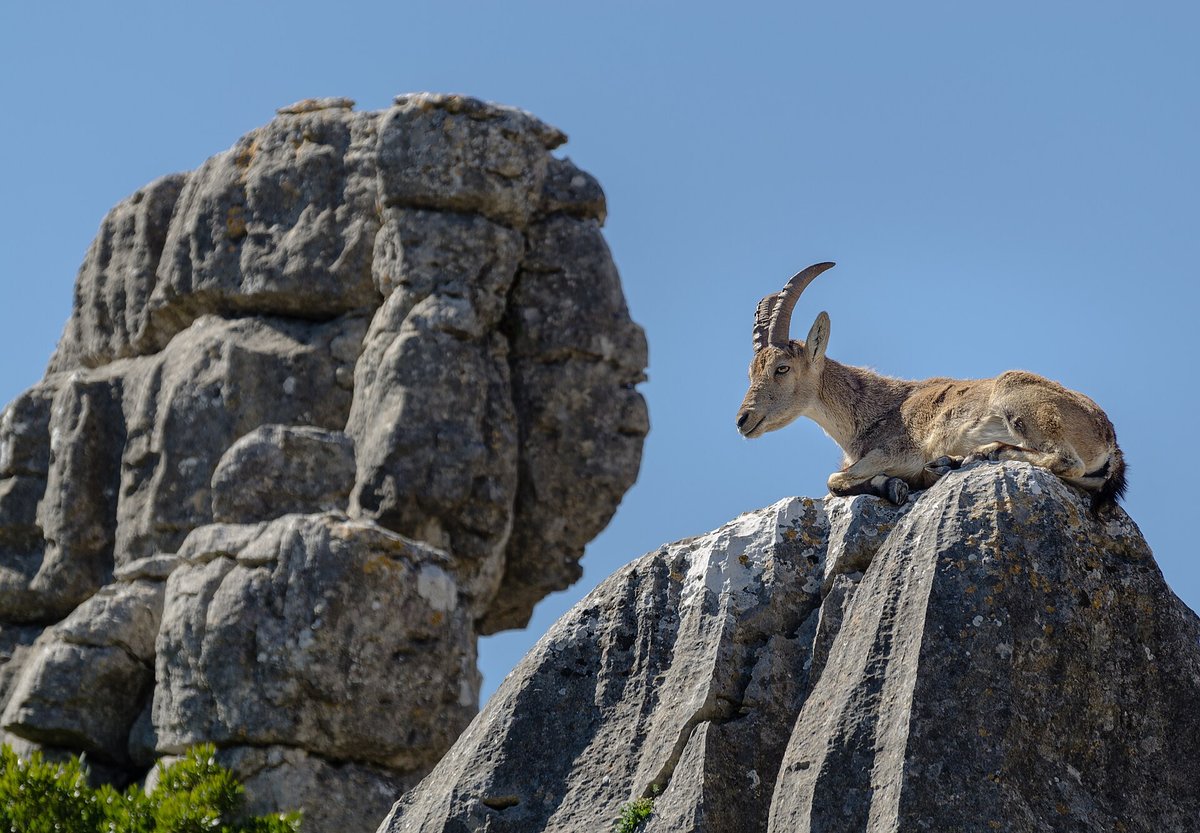 Torcal de Antequera