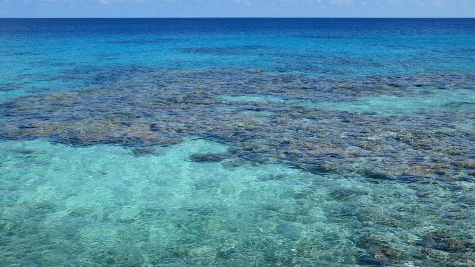 Crocker Reef — United States