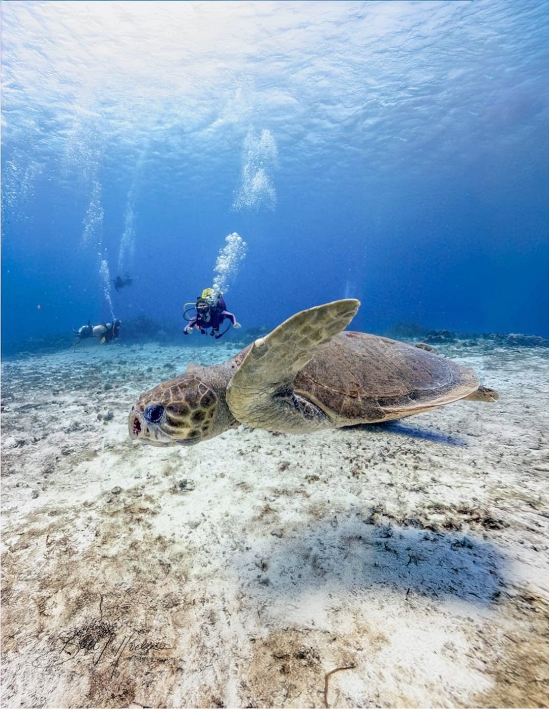 Palancar Reef — Mexico