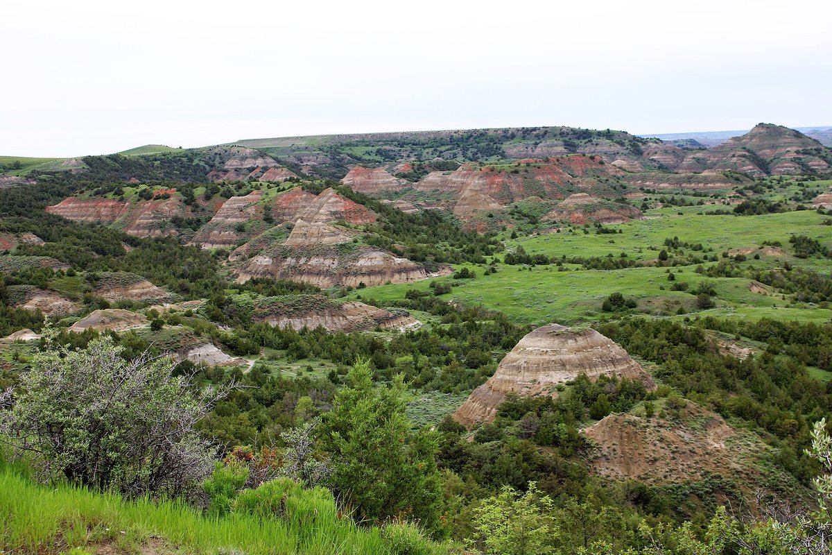 Theodore Roosevelt Painted Canyon
