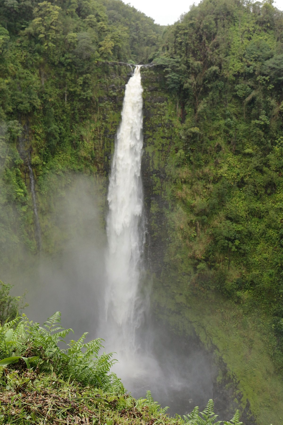 Akaka Falls State Park — United States