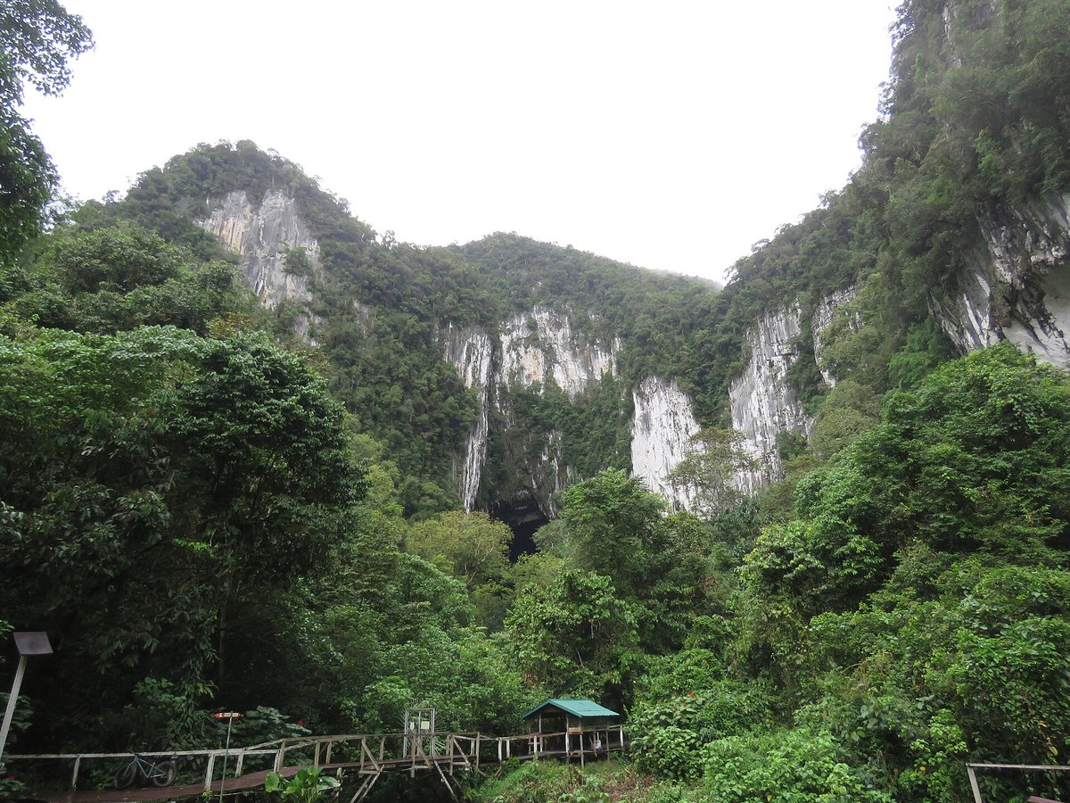 Deer Cave Bat Emergence — Mulu Borneo