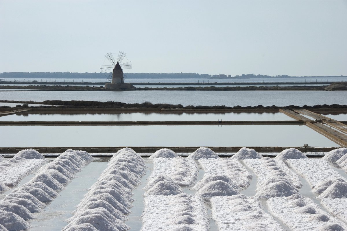 Salt Pan Harvest — Guérande Loire-Atlantique France