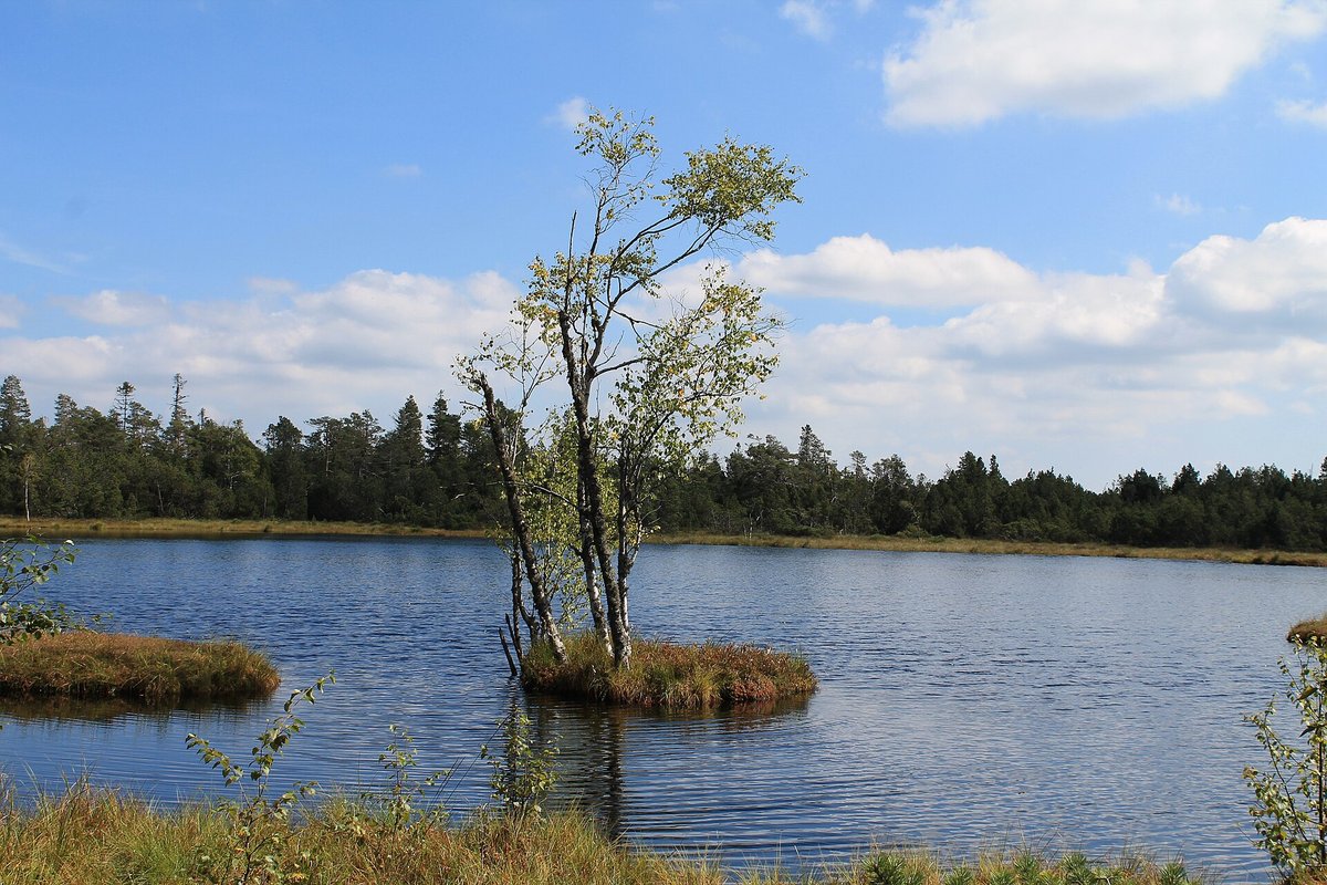 Wildsee-Hochmoor