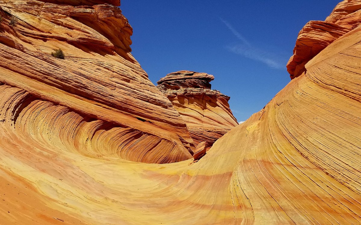 The Wave Coyote Buttes