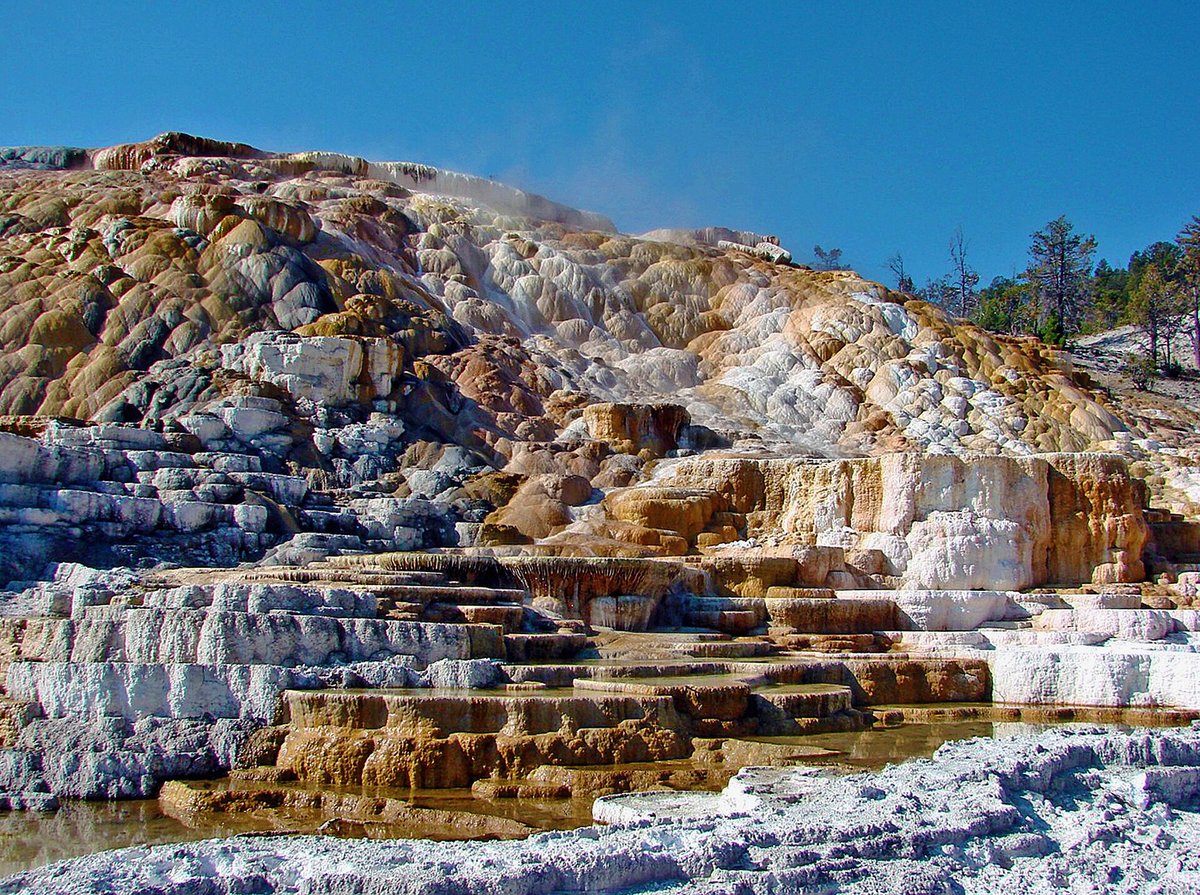 Mammoth Hot Springs Travertine Terraces — Yellowstone